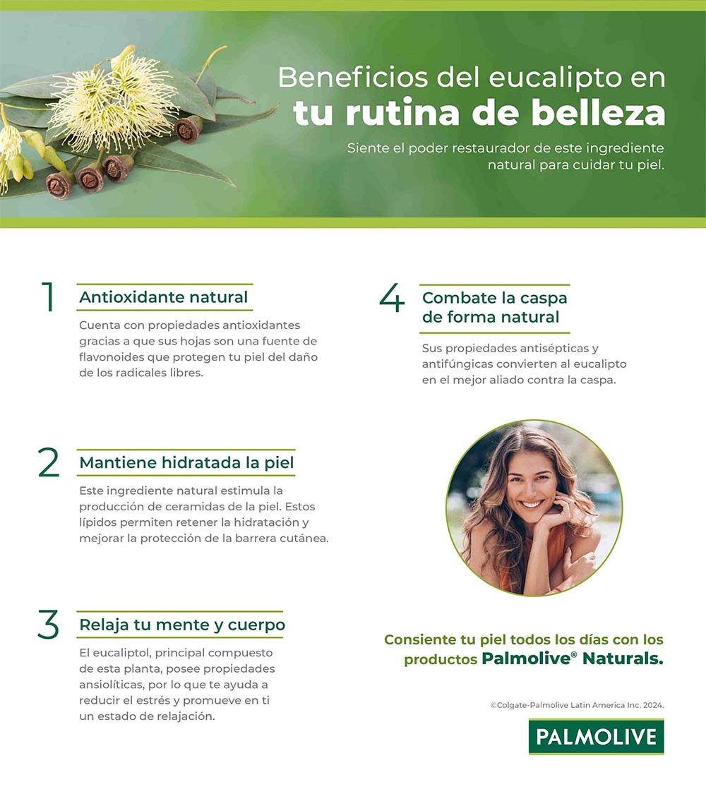 infografía sobre los beneficios del eucalipto para el cuerpo y la mente