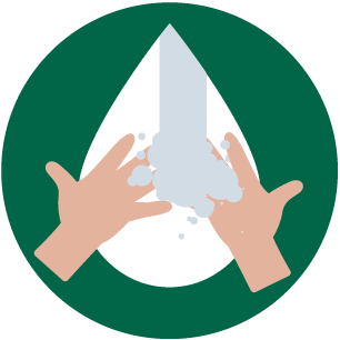 Humedece y enjabona tus manos